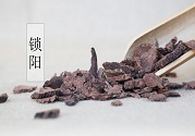 大雪節氣中藥鎖陽能補陽益陰