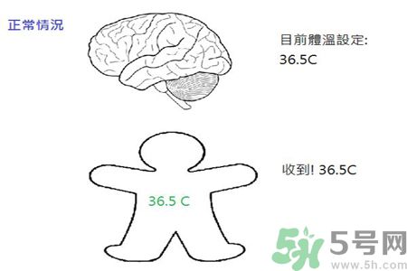 寶寶發燒怎么辦?這樣做菜正確...