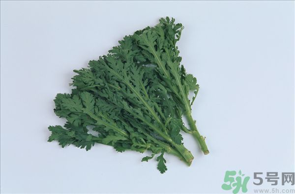 白發可不可以吃茼蒿嗎 白頭發吃什么能變黑