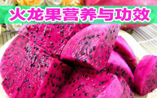 火龍果可以和香蕉一起吃嗎 火龍果不可以和什么一起吃