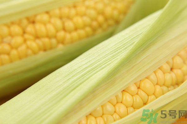 哺乳期能吃玉米回奶嗎？產婦吃玉米會回奶嗎？