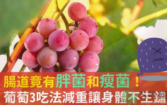 吃葡萄可以不吐葡萄籽嗎？吃葡萄皮好不好？