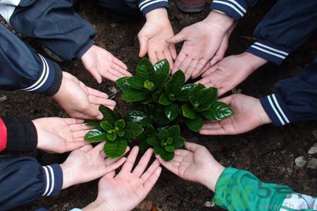 植樹節是什么時候?植樹節為什么定在這一天?