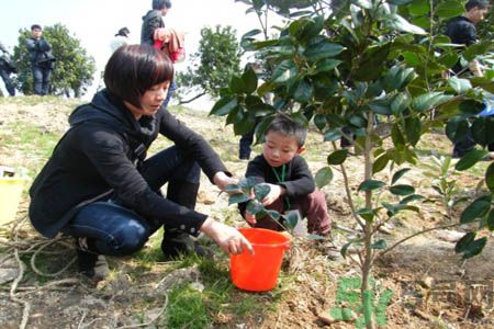 植樹節是什么時候?植樹節為什么定在這一天?