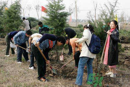植樹節(jié)是幾月幾日？植樹節(jié)可以做些什么活動？