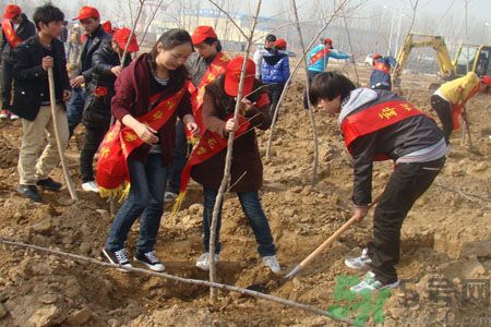 植樹節種什么樹?植樹節和孩子一起種什么樹好?