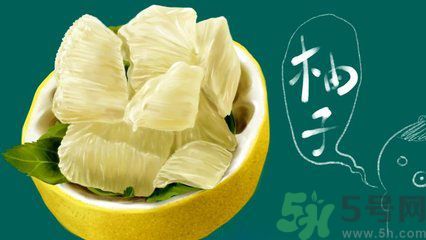 多吃柚子能減肥嗎？怎樣吃柚子才健康？