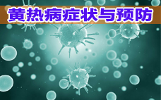 寨卡病毒會(huì)自己好嗎？寨卡病毒能自愈嗎？