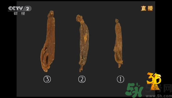 紅參怎么挑選？紅參摻糖怎么辯解？