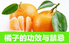 金桔膏的做法 冰糖金桔膏的功效
