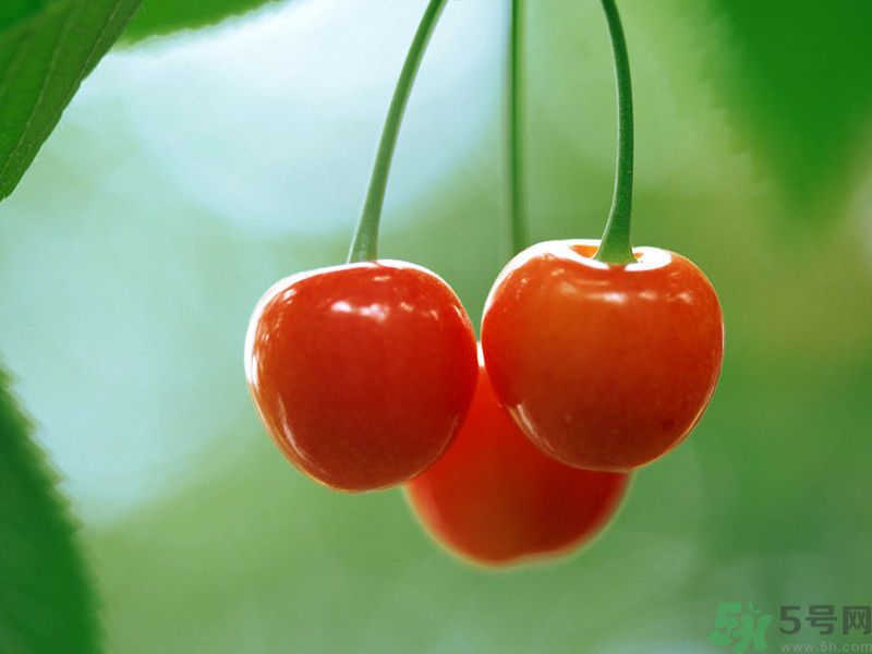 春分時節(jié)養(yǎng)生吃什么水果好？那些水果可以春天吃？