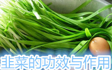 春韭的功效 春韭菜的營養價值