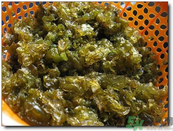地皮菜怎么清洗干凈？怎樣洗地皮菜？