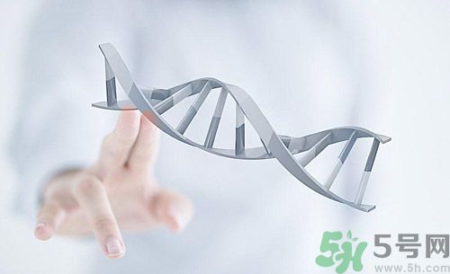 糖尿病會遺傳嗎？糖尿病會遺傳給胎兒嗎？