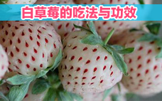 奶油草莓為什么叫奶油草莓 奶油草莓真的有奶油嗎