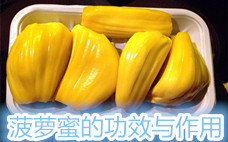 菠蘿蜜什么季節最好吃 什么季節是吃菠蘿蜜的季節