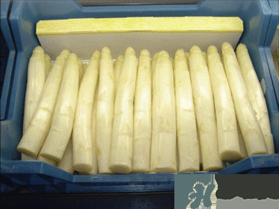 吃蘆筍注意事項(xiàng)有哪些？蘆筍有什么藥用功效？