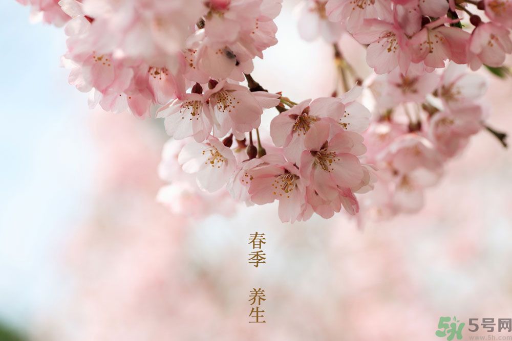 女性春季養生吃什么？女性春季怎么養生？