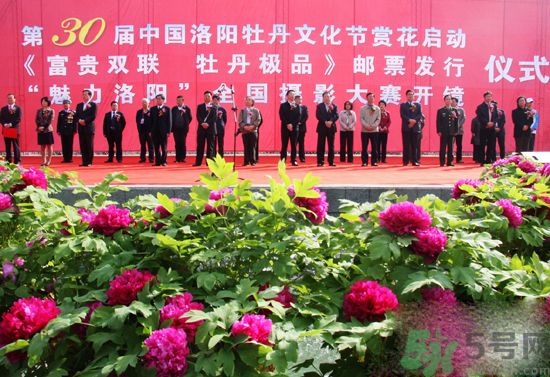 洛陽牡丹文化節活動有哪些？洛陽牡丹文化節門票是多少？