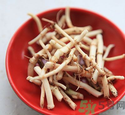 魚腥草可以炎癥嗎？魚腥草怎么治炎癥？