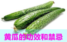 黃瓜和青瓜是同一種 黃瓜和青瓜的區別