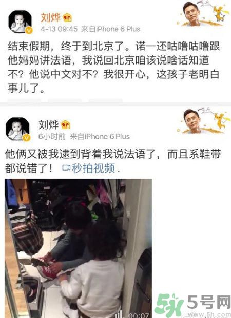 諾一雪梨是誰？為什么叫諾一雪梨？