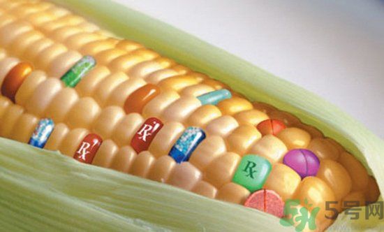 農(nóng)業(yè)部怎樣回應(yīng)轉(zhuǎn)基因食品？轉(zhuǎn)基因的食物有哪些？