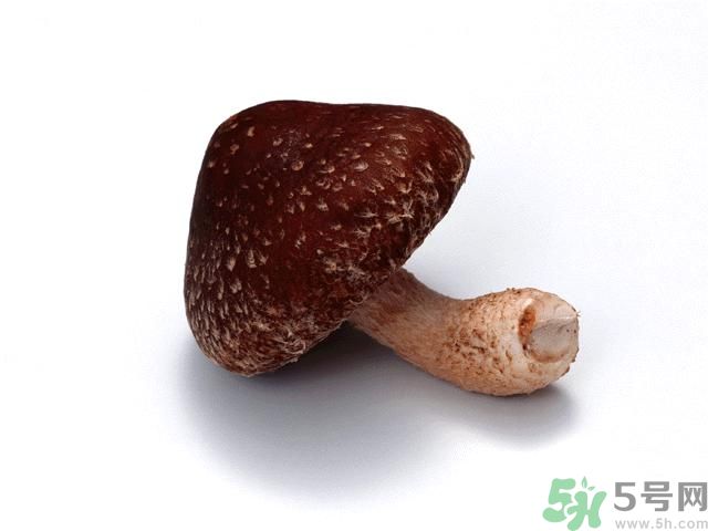 西紅柿發(fā)青可以吃嗎？青西紅柿吃了好不好？