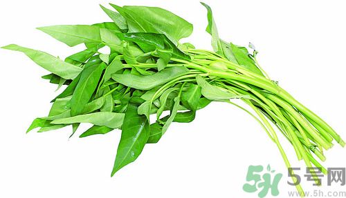 空心菜和雞能一起吃嗎？空心菜怎么吃有營養？