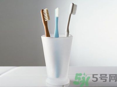 牙齦出血要換牙刷嗎？牙刷多久換一次好？