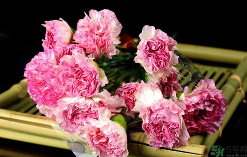 母親節送什么花好？母親節應該送什么鮮花？