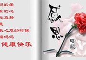 母親節送什么花好？母親節應該送什么鮮花？