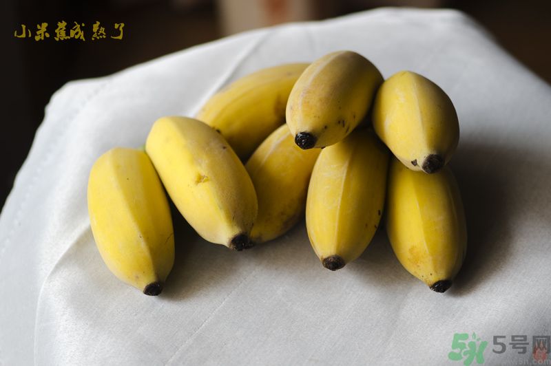 牛奶蕉可以和蘋(píng)果一起吃嗎？牛奶蕉和蘋(píng)果一起吃好嗎？