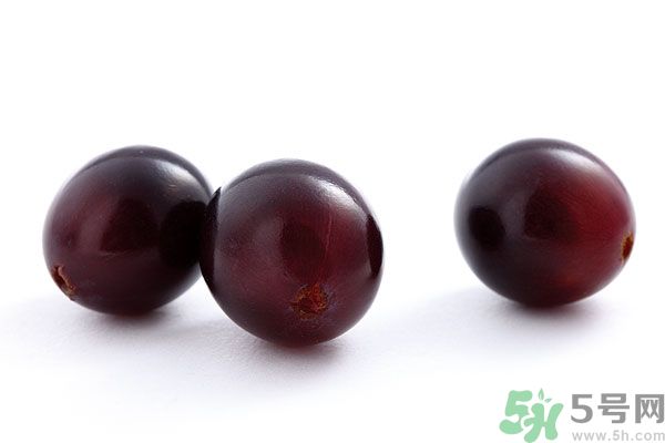 骨質疏松能吃葡萄嗎？骨質疏松吃葡萄好嗎？