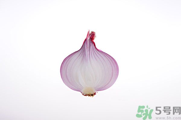 吃洋蔥上火嗎？吃洋蔥會上火嗎？