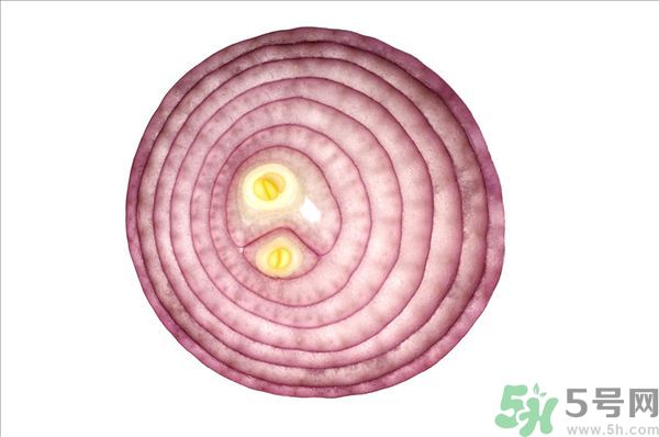 吃洋蔥上火嗎？吃洋蔥會上火嗎？