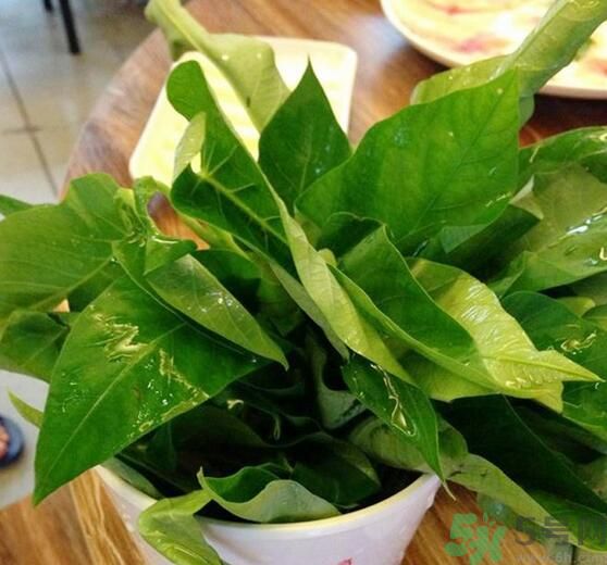 空心菜泡水了還能吃嗎？泡水的空心菜可以吃嗎？