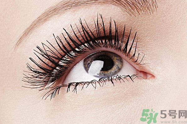 眉毛淡是種怎樣的體驗？眉毛淡是什么原因？