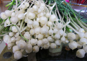 山蒜能吃嗎？小山蒜有毒嗎吃了對(duì)身體有害嗎？