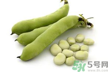 蠶豆是熱性還是涼性？蠶豆是熱性的嗎？