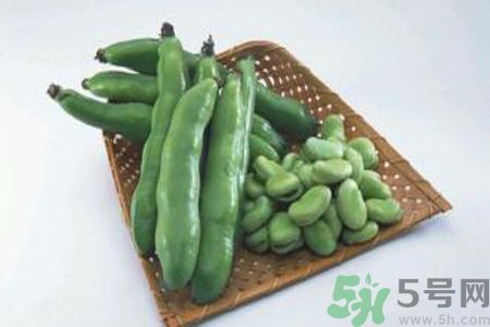蠶豆是熱性還是涼性？蠶豆是熱性的嗎？