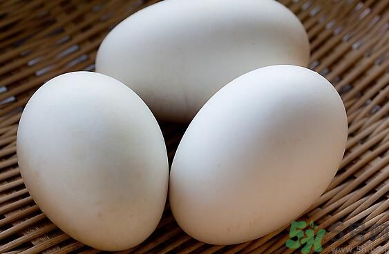 鵝蛋可以清火嗎？鵝蛋可以降火嗎？