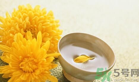 經期可以喝菊花晶嗎？菊花晶可以經期喝嗎？