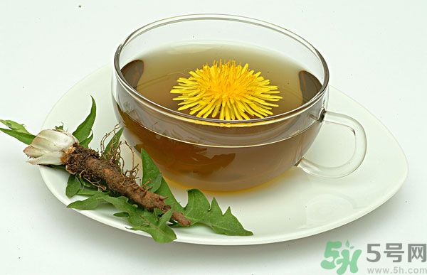 蒲公英根泡茶好還是蒲公英葉泡茶好？蒲公英根和葉哪個(gè)效果好？