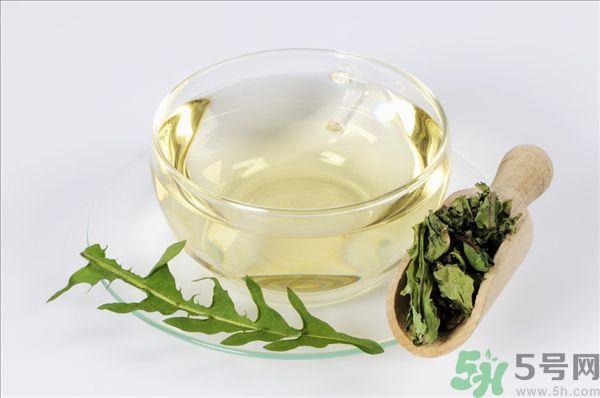 蒲公英根泡茶好還是蒲公英葉泡茶好？蒲公英根和葉哪個效果好？