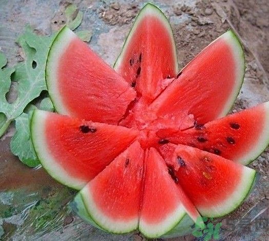 坐月子能吃西瓜嗎？坐月子吃西瓜好不好？