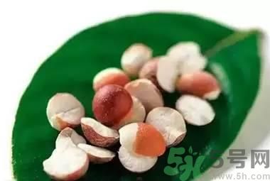 夏天吃芡實好嗎？夏天吃芡實有什么好處？