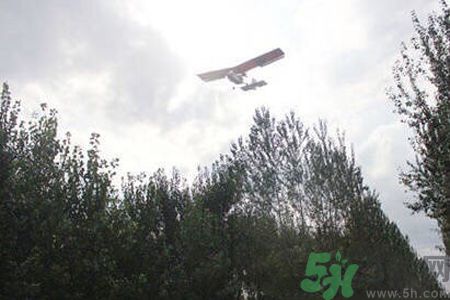 為什么15-25號(hào)不要曬被子？什么是美國(guó)白蛾？