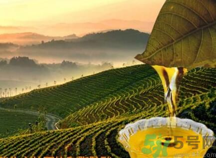 茶籽油可以天天吃嗎？可以每天用茶籽油炒菜嗎？
