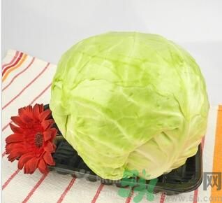 孕婦可以吃包菜嗎？孕婦吃包菜好嗎？